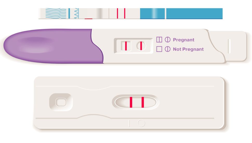 Test ciążowy – jak działa, jakie są rodzaje, jak go wykonać?